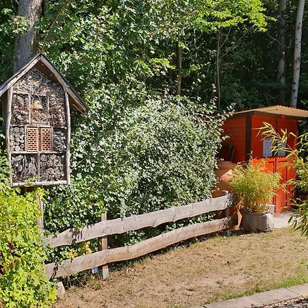 Ferienhaus Am Wald Ronshausen Exteriör bild