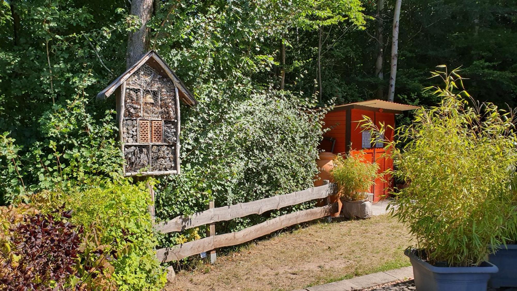 Ferienhaus Am Wald Ronshausen Exteriör bild